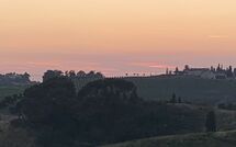 Photo submitted by guest of Tenuta Cambiano