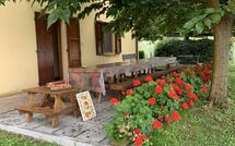 Photo submitted by guest of Tenuta Cambiano