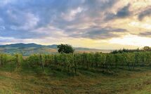 Photo submitted by guest of San Carlo