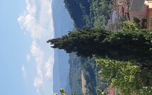 Photo submitted by guest of Villa Pratovecchio