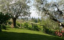 Photo submitted by guest of Casa Lucia