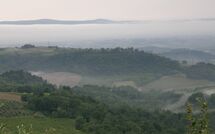 Photo submitted by guest of Casa Lucia