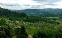 Photo submitted by guest of Villa Poggiolino