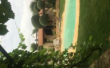 Photo submitted by guest of Trullo Santo Stefano