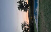 Photo submitted by guest of Scerfio