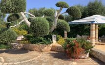 Photo submitted by guest of Lamia Santo Arcangelo