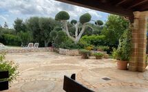 Photo submitted by guest of Lamia Santo Arcangelo