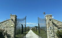 Photo submitted by guest of Villa dei Vini