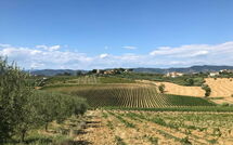 Photo submitted by guest of Nicola