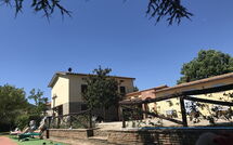 Photo submitted by guest of Zeffiro