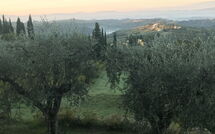 Photo submitted by guest of Casa Lucia