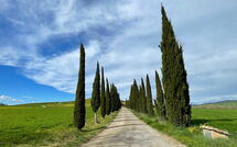 Photo submitted by guest of Villa Cassia