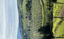 Photo submitted by guest of Tenuta - Tenuta 4