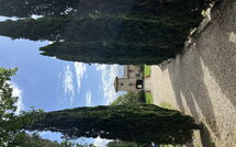 Photo submitted by guest of Tenuta - Tenuta 4