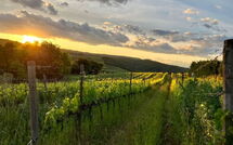 Photo submitted by guest of Villa Il Caggio