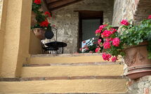 Photo submitted by guest of Villa Sonia