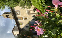 Photo submitted by guest of Montegufoni