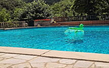 Photo submitted by guest of Villa Contessa