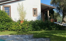 Photo submitted by guest of Villa Oliveta