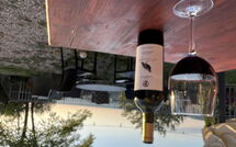 Photo submitted by guest of Panzalla - Rondini