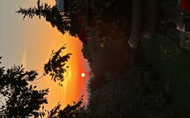 Photo submitted by guest of Panzalla - Rondini