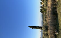 Photo submitted by guest of Pozzo dei Desideri