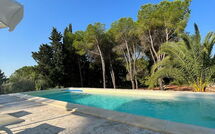 Photo submitted by guest of Nerodavola