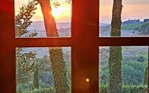 Photo submitted by guest of Tenuta Cambiano