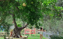 Photo submitted by guest of Villa Eftychia