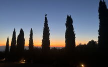 Photo submitted by guest of Villa Simone