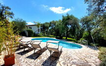 Photo submitted by guest of Villa Oliveta