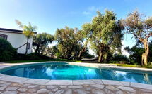 Photo submitted by guest of Villa Oliveta