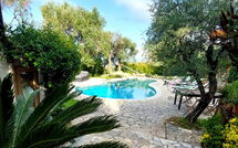 Photo submitted by guest of Villa Oliveta