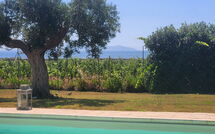 Photo submitted by guest of Villa Casale