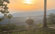 Photo submitted by guest of Villa Ancora