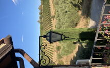 Photo submitted by guest of Villa Nova