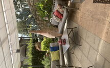 Photo submitted by guest of Villa Nova