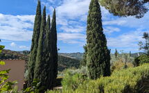 Photo submitted by guest of Bigiolo a Melazzano