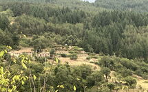 Photo submitted by guest of Villa Portole Due