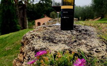 Photo submitted by guest of Villa le Buche