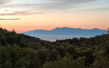 Photo submitted by guest of Villa di Giovanni