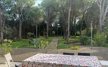 Photo submitted by guest of Nerodavola