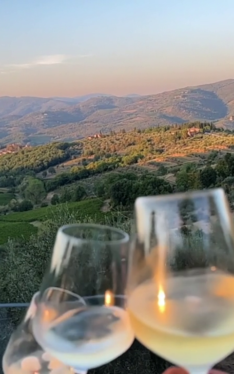 Vacations Villas in Italy’s Finest Wine Regions