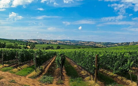 Chianti vakantiewoningen