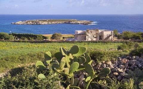 Northern Coast of Sicily –Vacation rentals