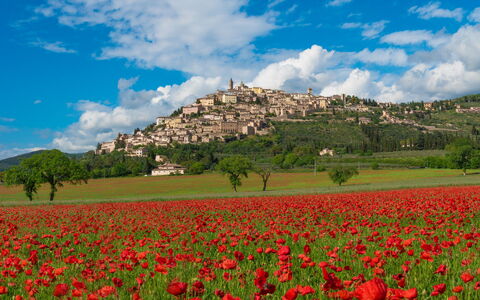 Puglia Villas Holidays Homes 