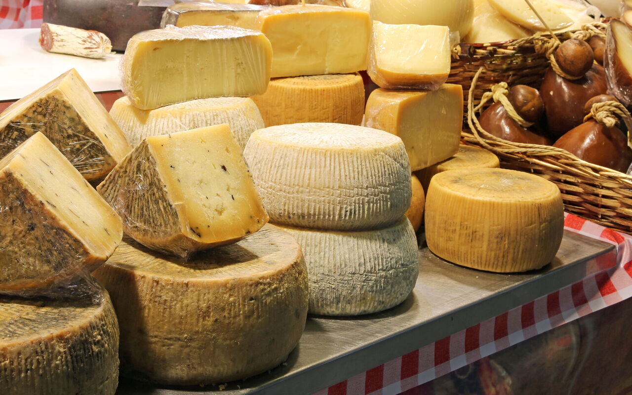 pecorino