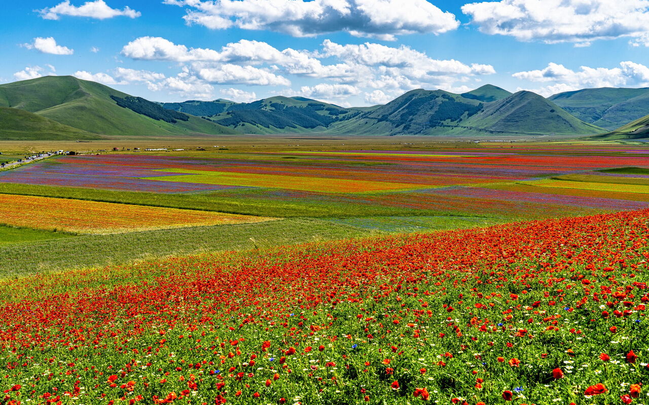 Castelluccio