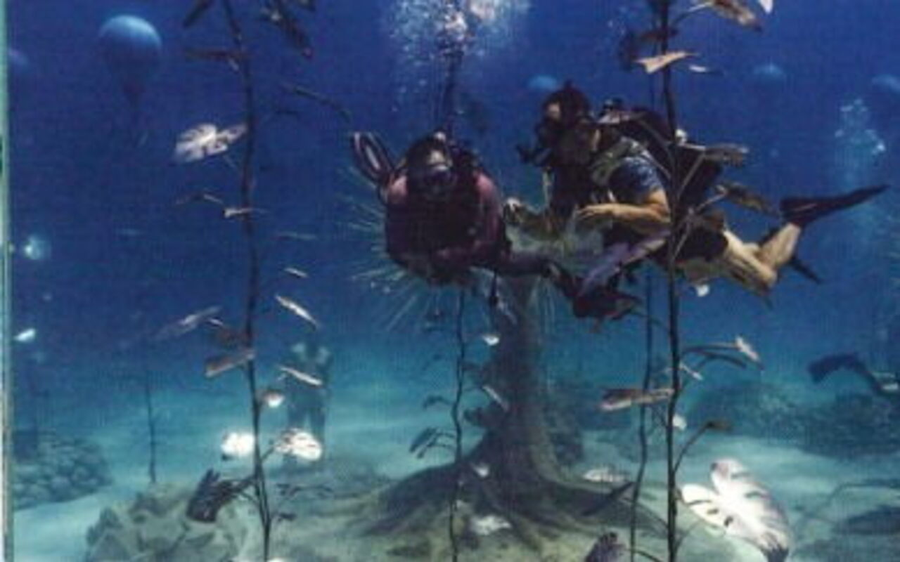 Skulpturen des Unterwassermuseums MUSAN in Agia Napa