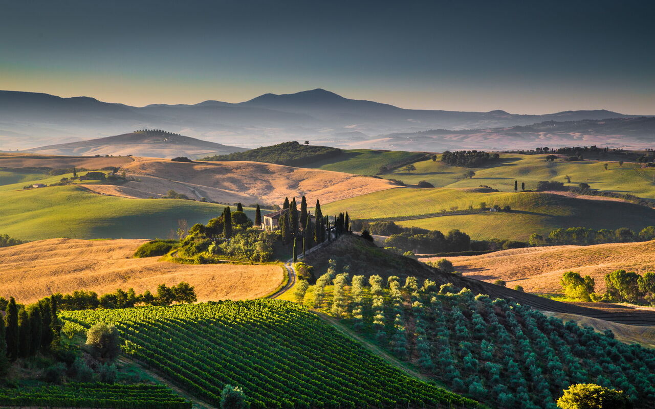 Tuscan landscape